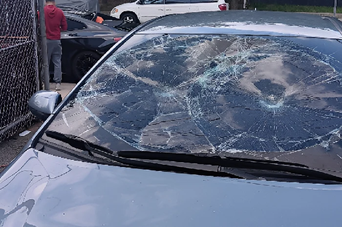 Windshield Replacement